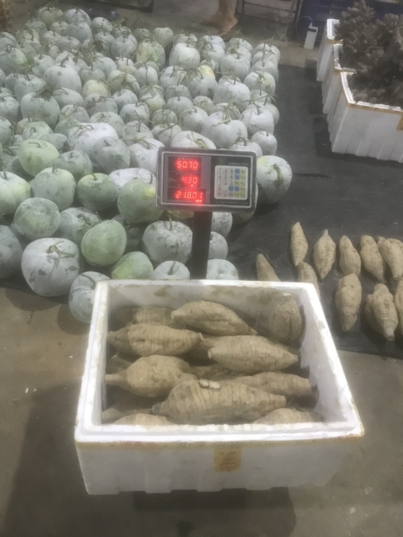 粉葛