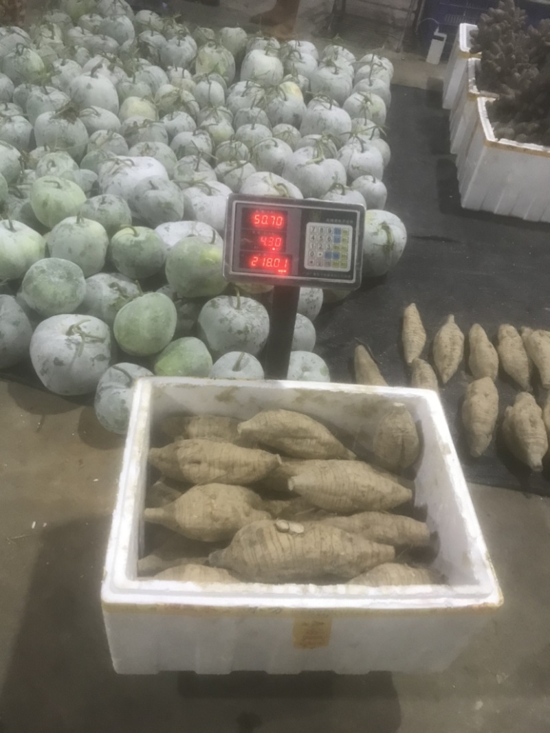 粉葛