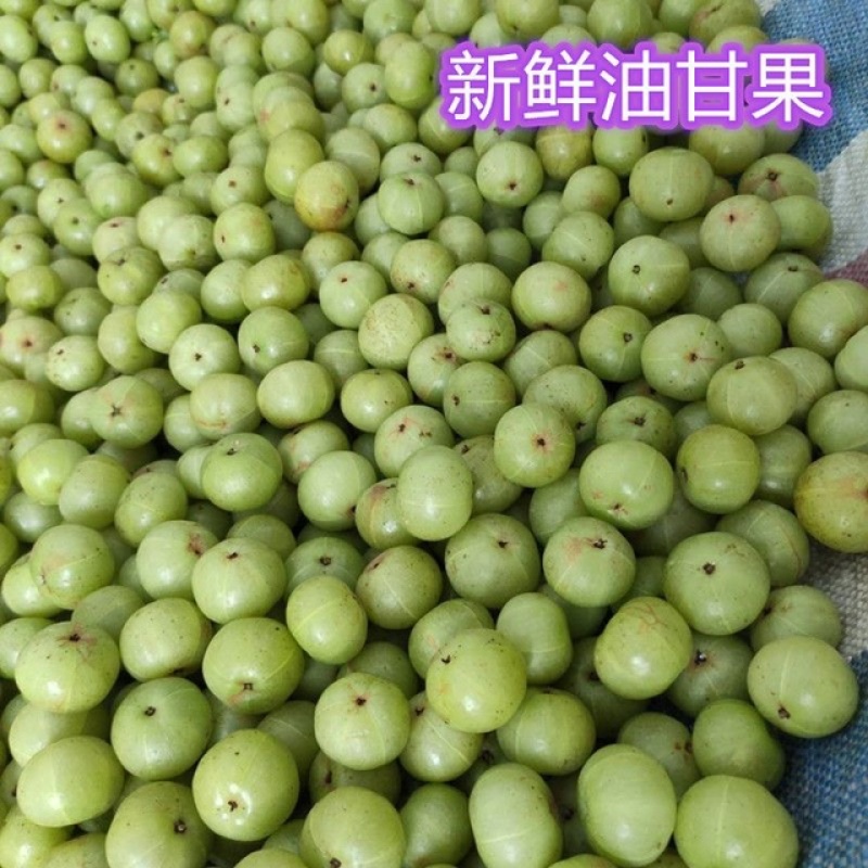 甜油甘展会地摊潮汕特产甜油甘油甘子广东省包邮油甘果