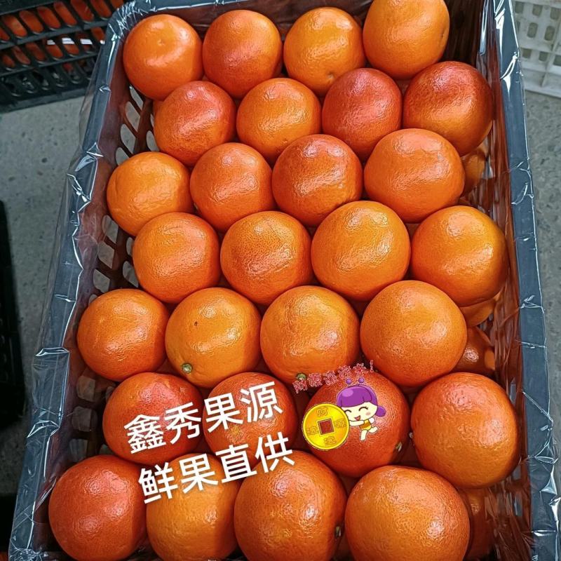 四川产地橙子塔罗科血橙皮薄无籽水份充足甜蜜化渣专业服务