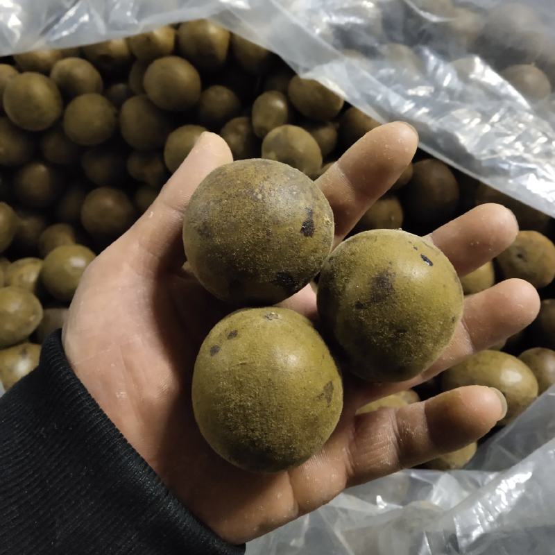 罗汉果-基地.广西桂林罗汉果外一外二果.外三论斤卖