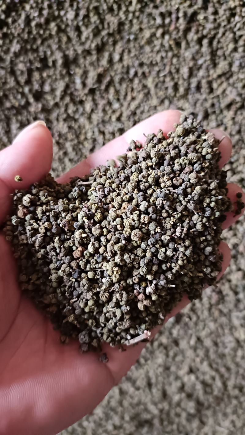 吴茱萸干货