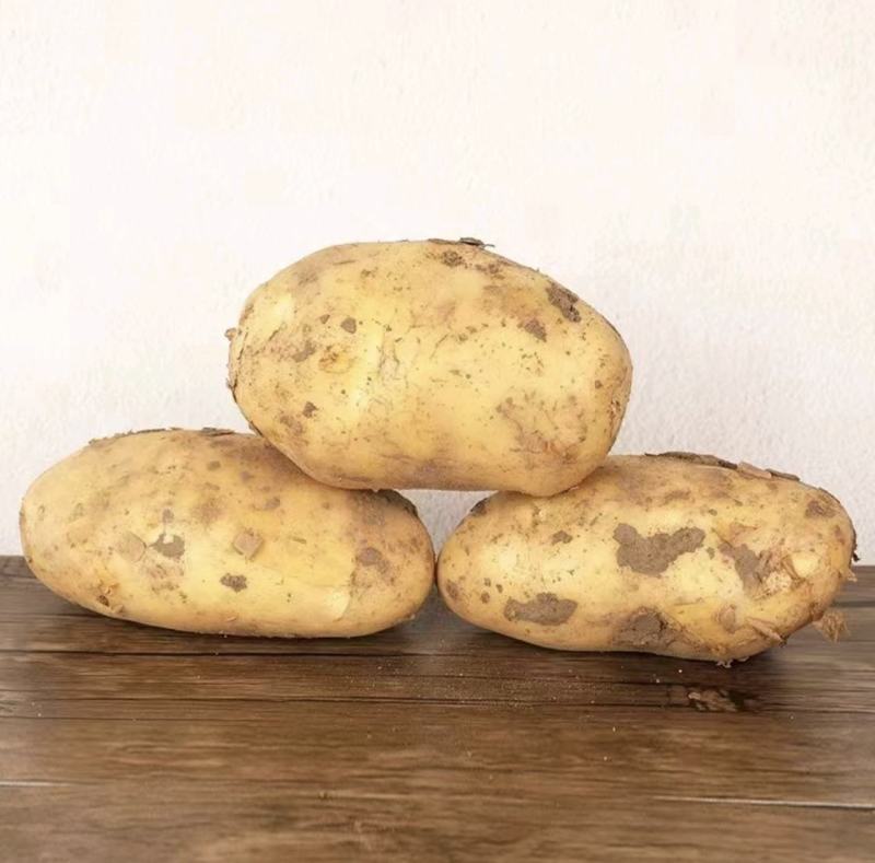 黄皮黄心土豆大量供应，量大从优，欢迎咨询订购
