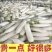 精品白萝卜诚信代办品质有保障，支持视频看货