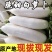 精品白萝卜诚信代办品质有保障，支持视频看货