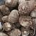 芋头毛芋头最新价格、各种规格、按需分拣、全国发货