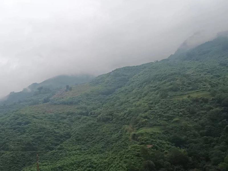 土地出租