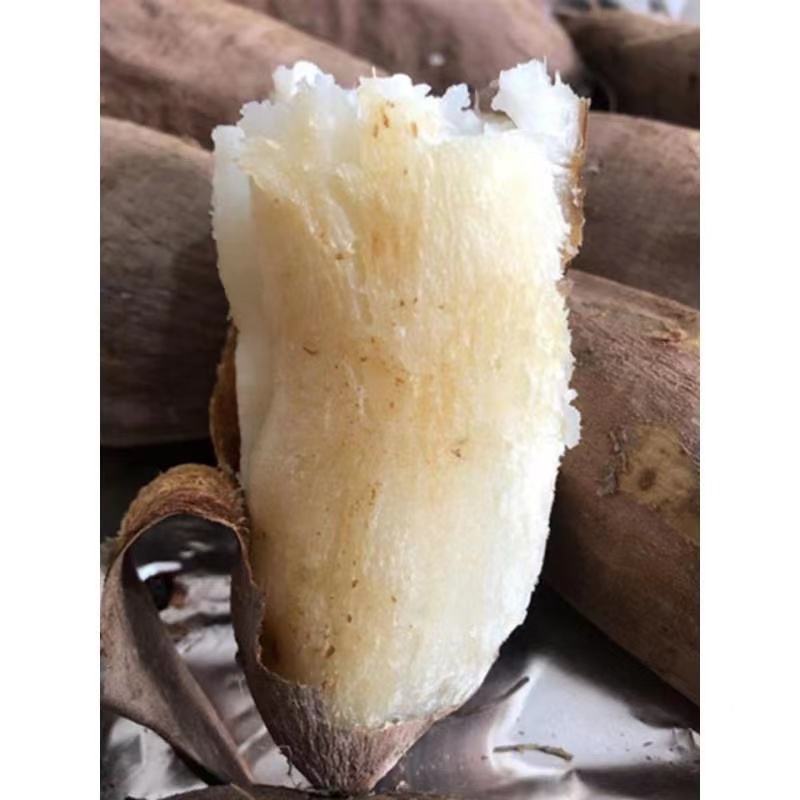 哈密红薯
