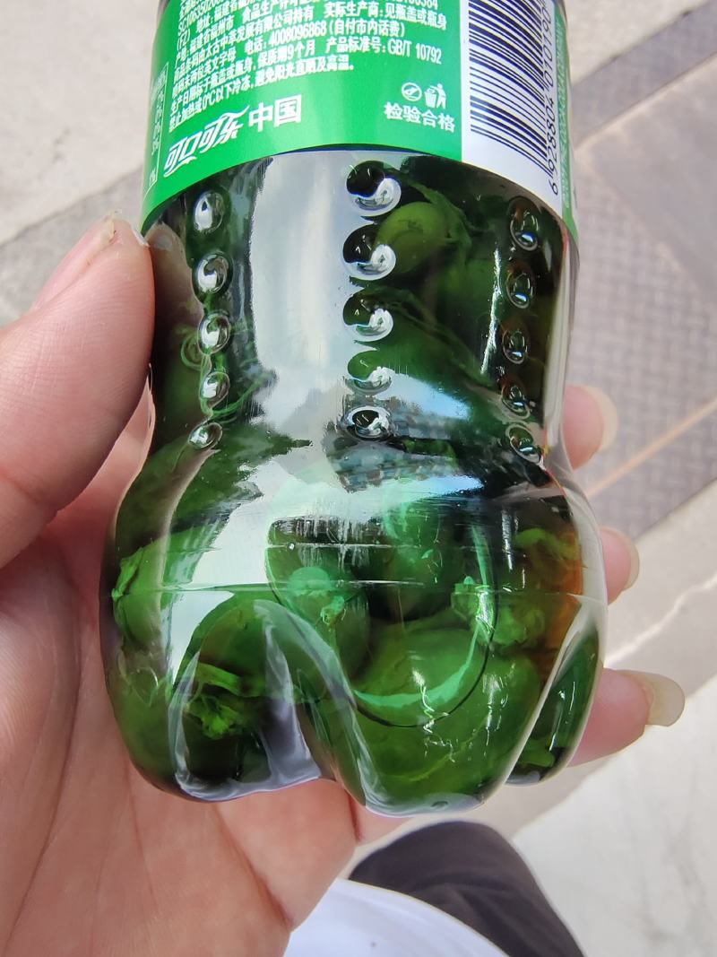蛇胆新鲜蛇胆