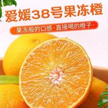 爱媛38果冻橙皮薄无籽水份充足支持视频