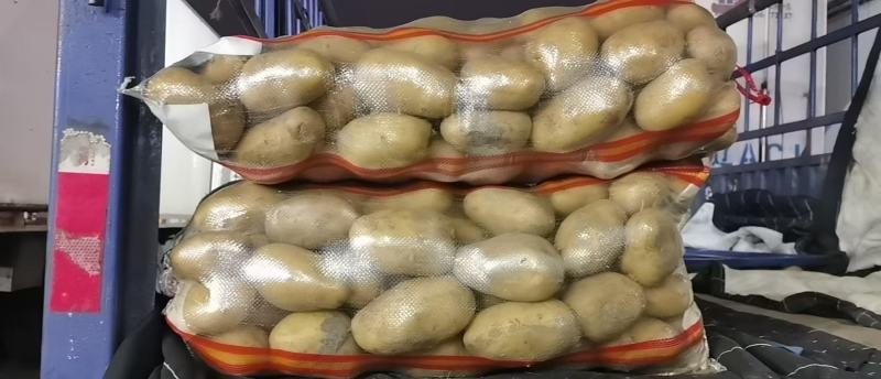 内蒙土豆品质保证诚信经营欢迎联系接商超市场电商欢迎咨询