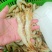 天然明虾长期供应大小规格齐全质量保证货源充足