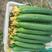 山东莘县精品黄瓜大量供应，顶花带刺、量大，口感很好，鲜花