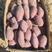 广东省陆丰市二代小花叶紫薯白沙地黄沙地品种齐全大量供应