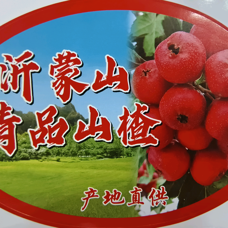 沂蒙山精品山楂，棉球，甜红子五楞，大金星产地直供，