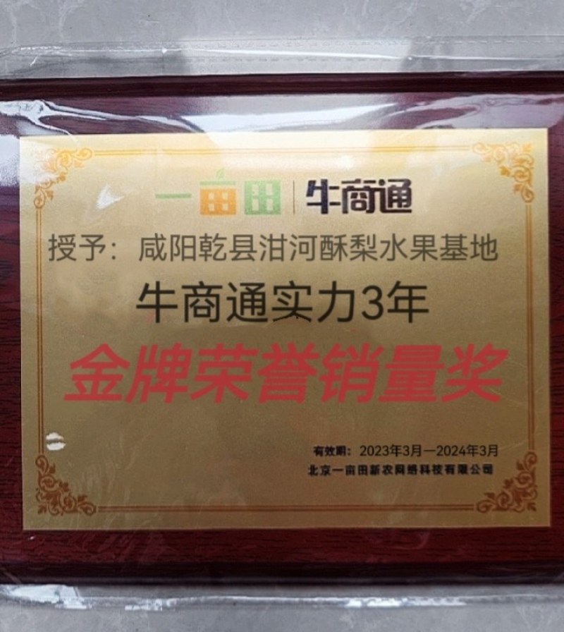 【实力商家】陕西咸阳大量酥梨已上市，大量上货，欢迎采购