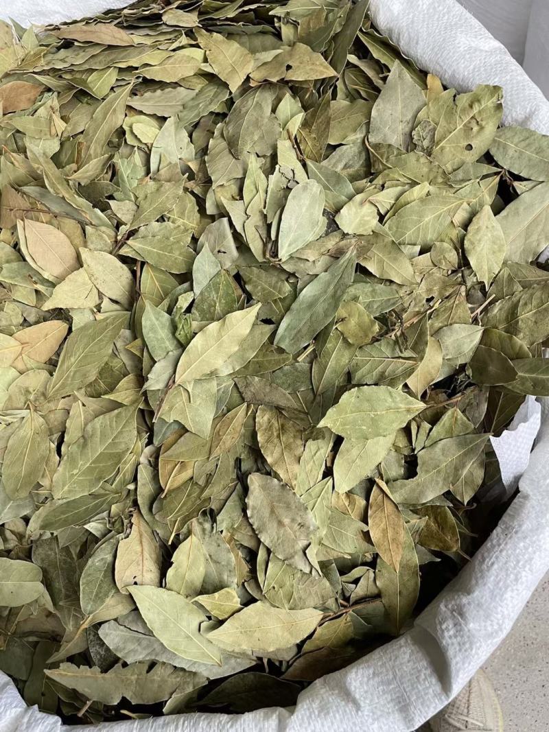 香叶调味料各种规格一手货源常年大货批发价波动快先咨询