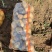 武川沃土沙地沃土沃土5号沃土五号优质沙地沃土