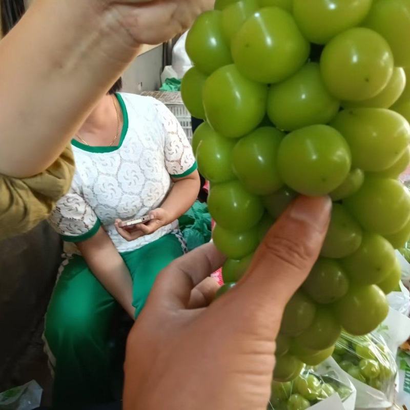 葡萄