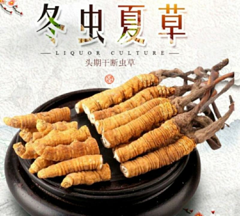 西藏那曲冬虫夏草优质断虫草价格经济实惠保质保量包邮