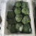 【实力推荐】西兰花精品西兰花产地直供对接市场商超