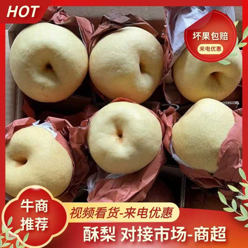 陕西渭南蒲城酥梨大量现货出库，果面细，无渣，口感细腻，