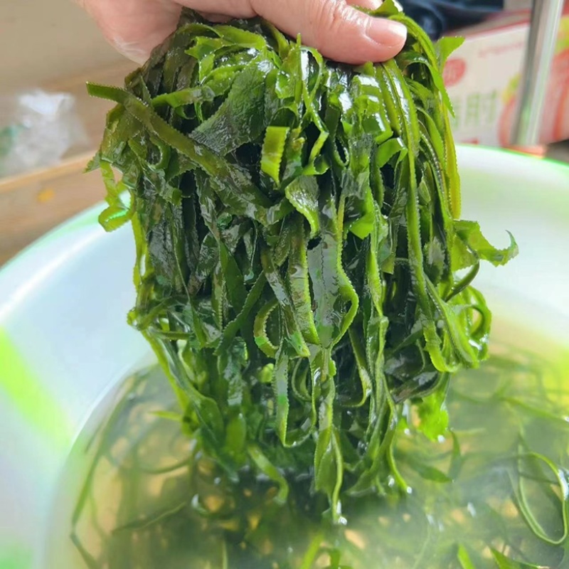 盐海带丝烘干海带一件50把左右炖汤凉拌厂家直销