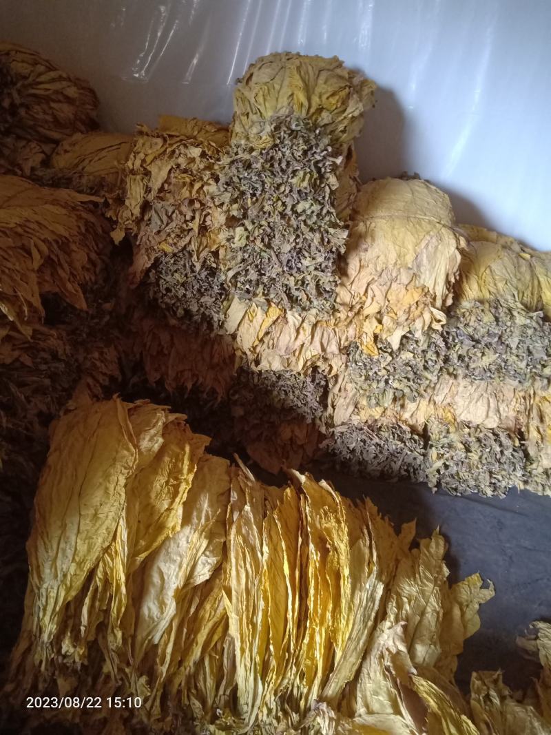 长度60一50云系列上等烟量大销售合同交不够的联系
