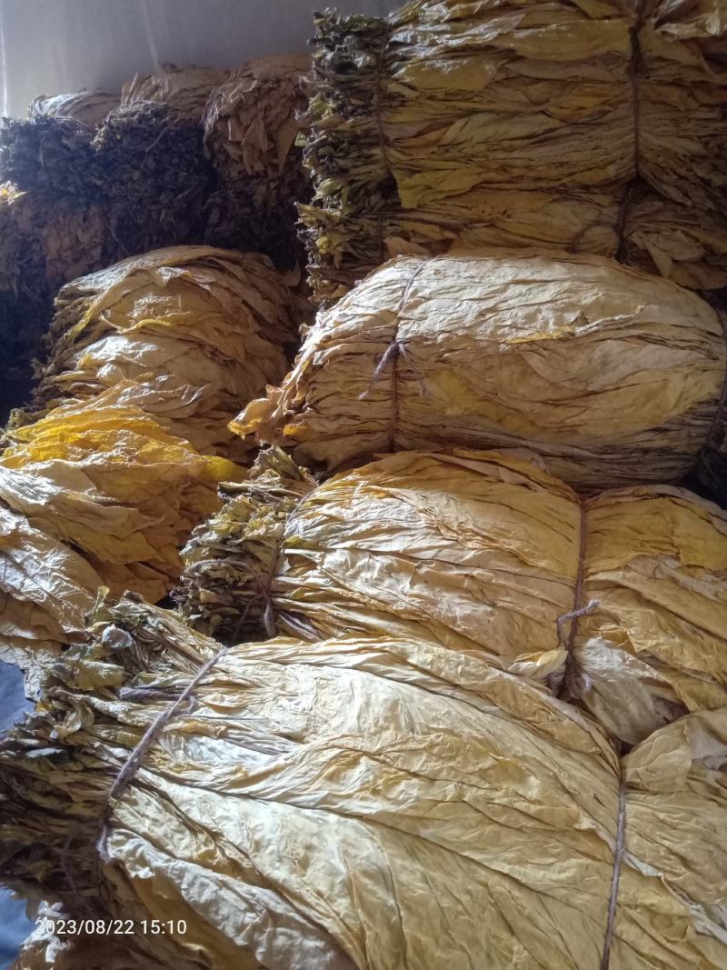 长度60一50云系列上等烟量大销售合同交不够的联系