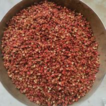 陕西韩城大红袍花椒大量批发全国各地，品质保证货量充足！