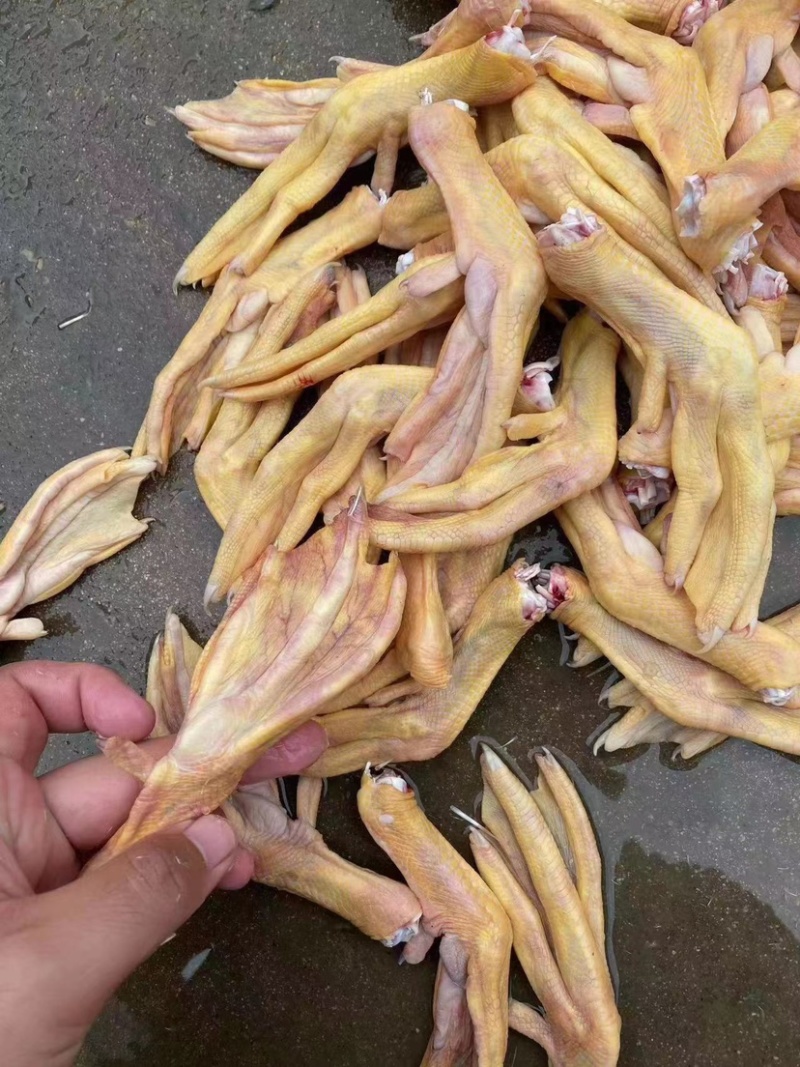 黄皮鸭掌二级全部新货现货工厂直发