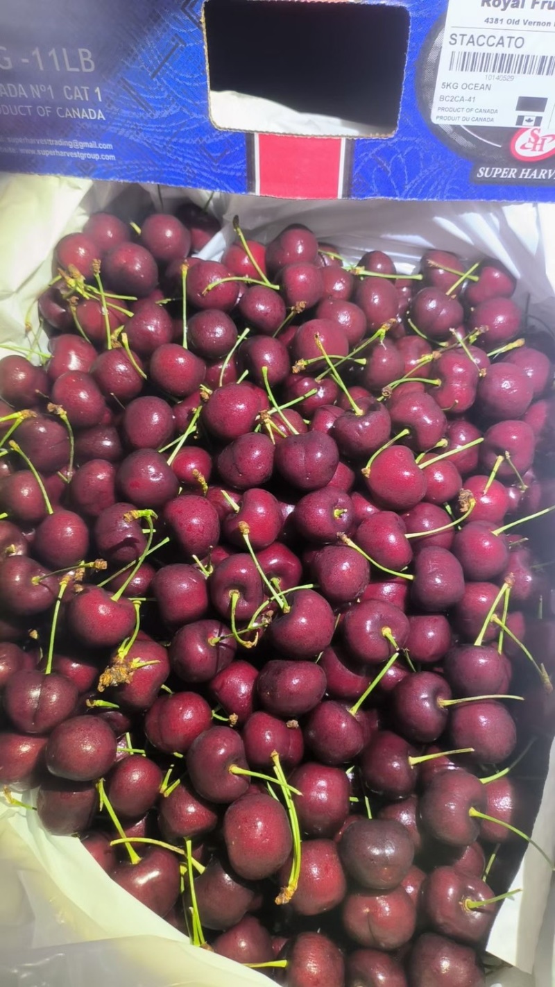 价格美丽合适超市水果店打特价