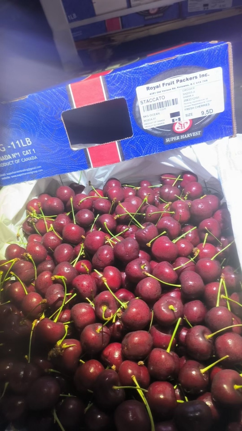 价格美丽合适超市水果店打特价