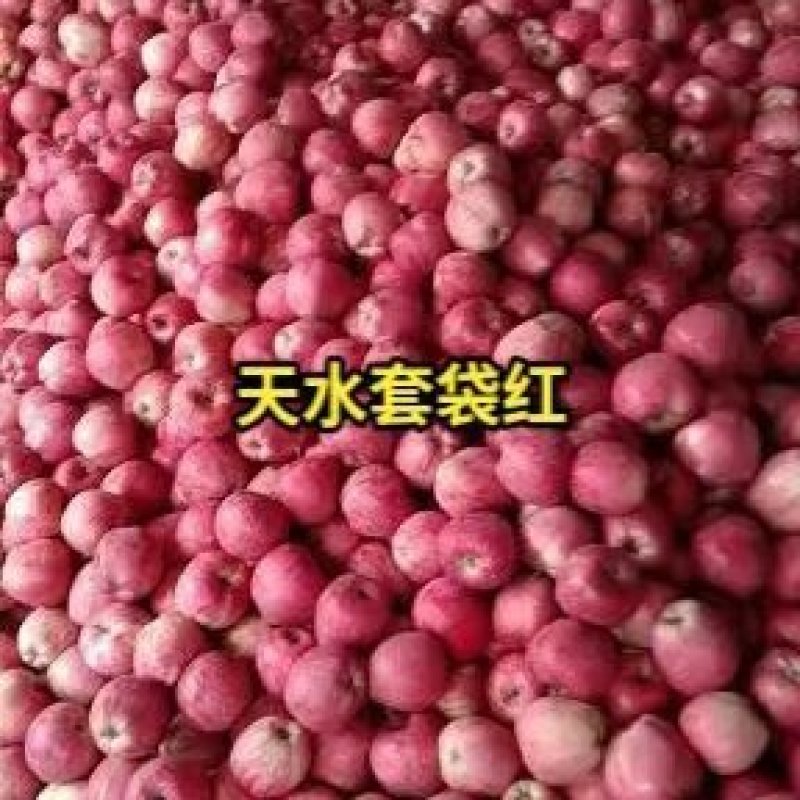 天水套袋红