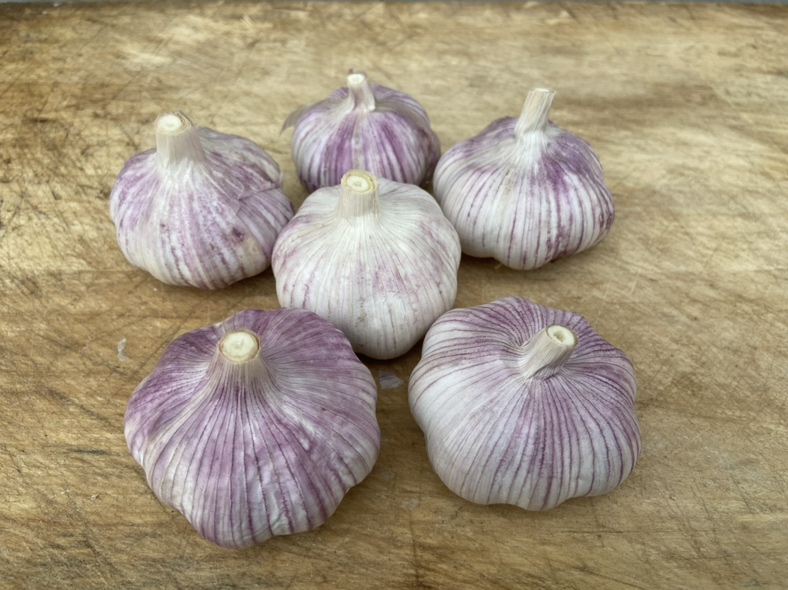 蒜苗与葱头原材料展示图