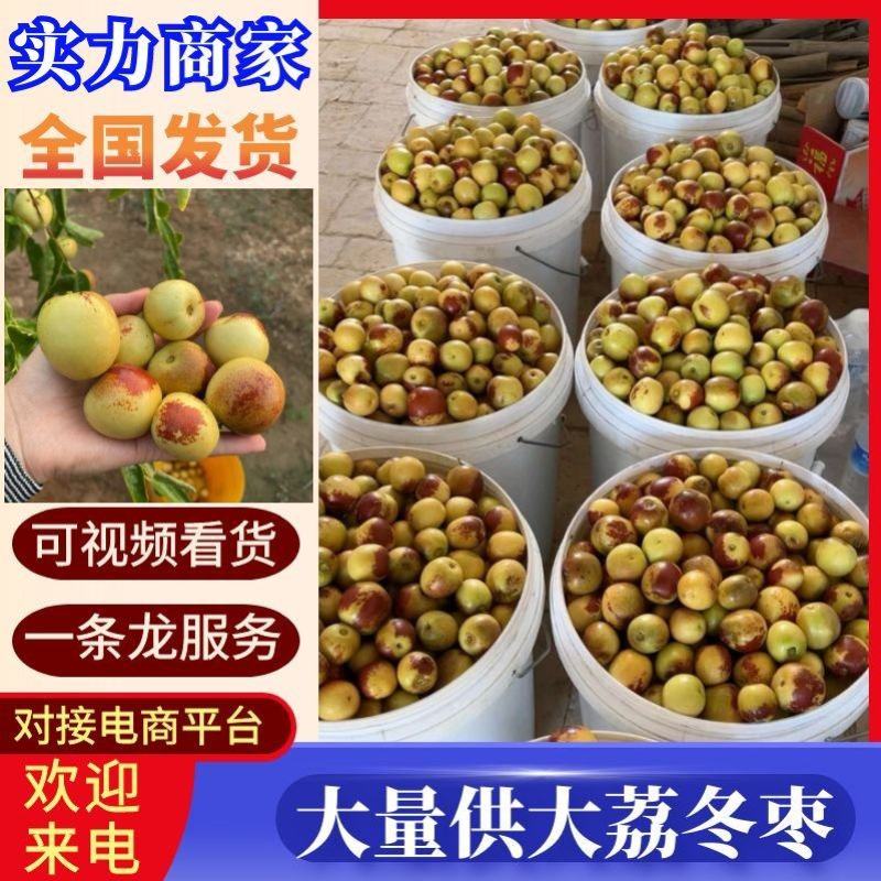 《实力》沾化冬枣现摘现发一件代发落地配~电商平台直播多多