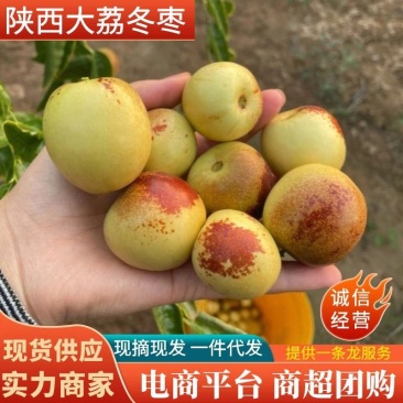 《精选》大荔冬枣现摘现发一件代发落地配~电商平台~直播多多