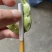 精品高山毛豆，已经开采！需要的老板欢迎咨询！