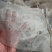 淫羊藿籽