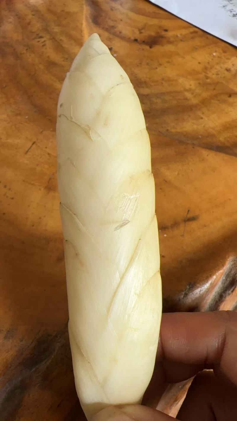 竹薯东粉薯新鲜现挖