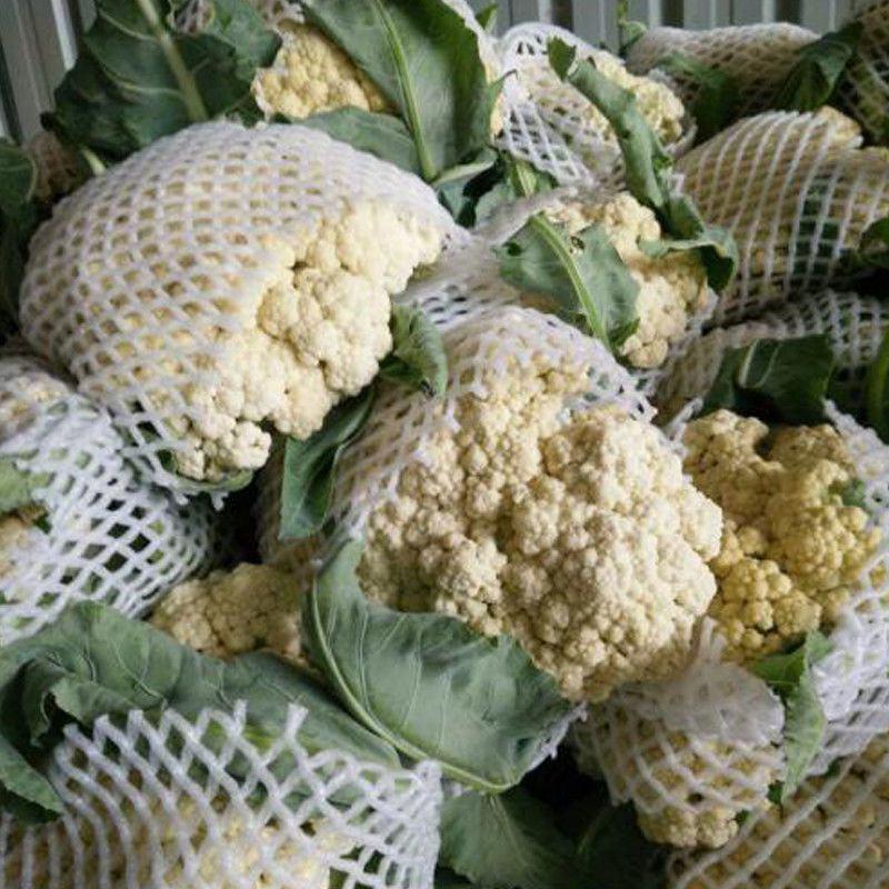 白花菜花可做加工厂用也可市场超市有机花菜