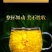 金丝皇菊一朵一杯