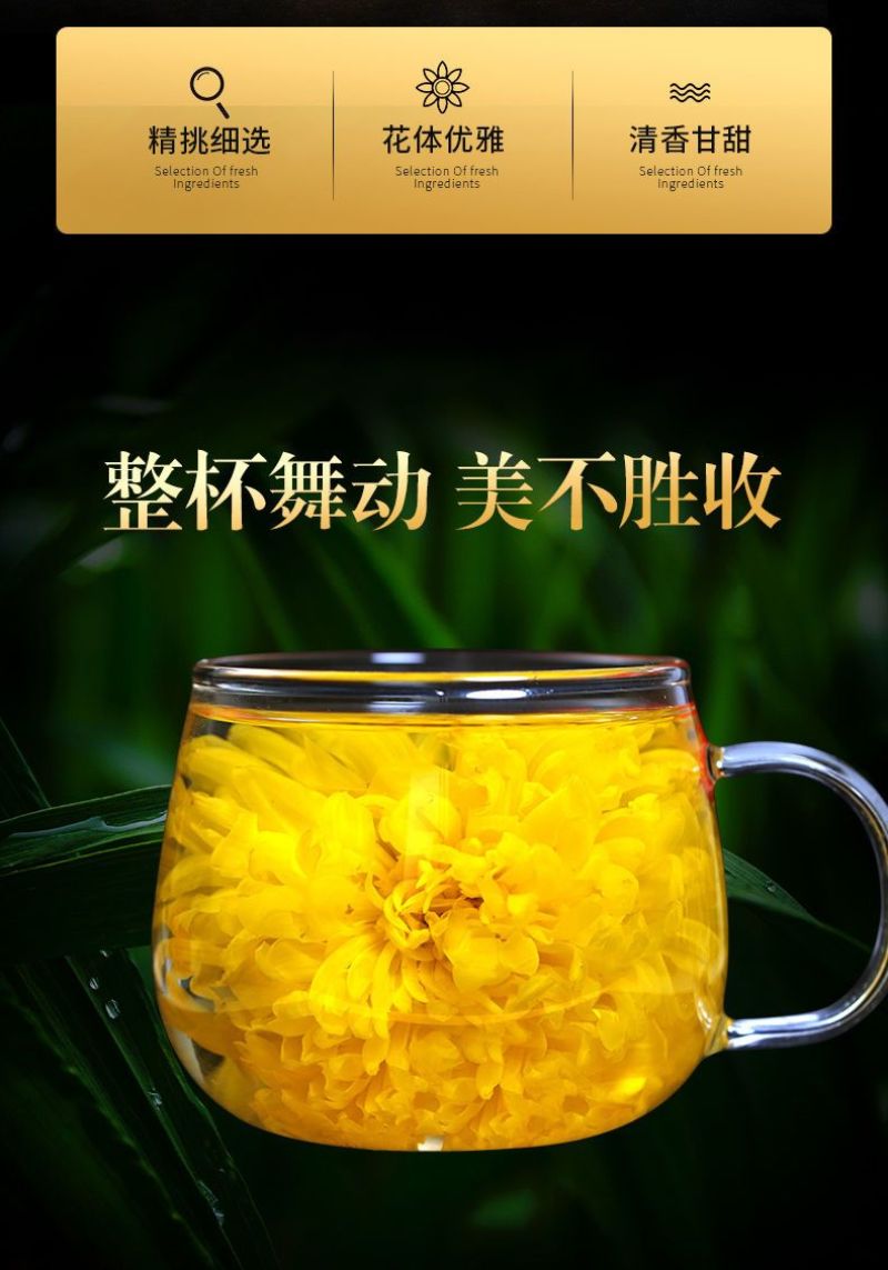 金丝皇菊一朵一杯