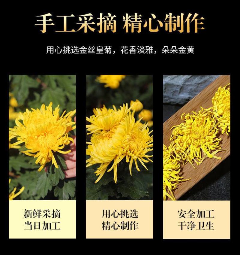 金丝皇菊一朵一杯