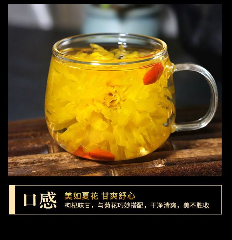 金丝皇菊一朵一杯