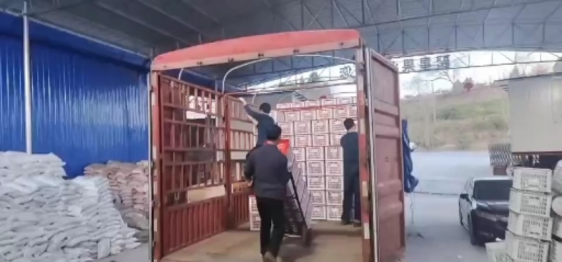 四川产地直销沃柑，规格齐全，质量保证，货源充足。