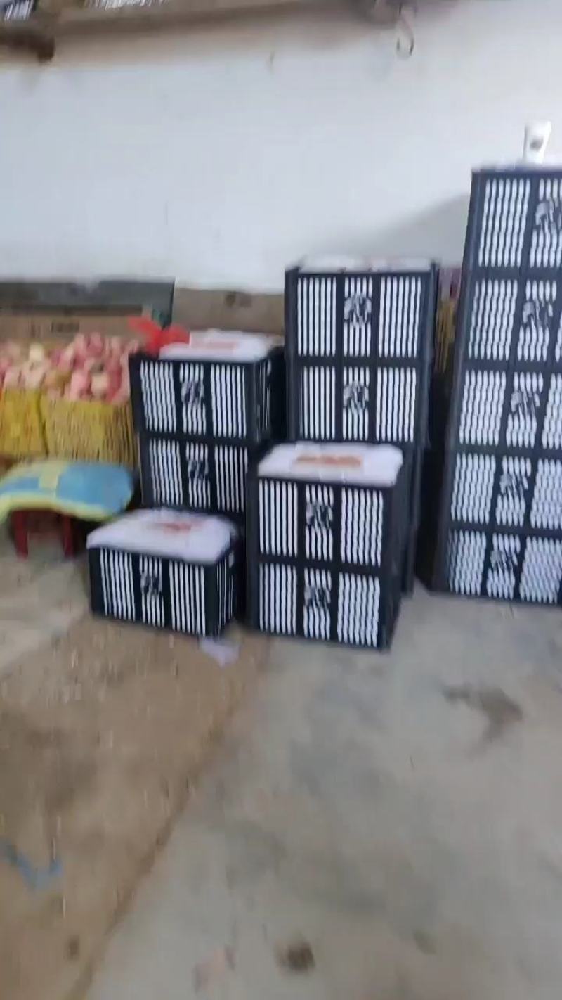 陕西苹果白水苹果红富士苹果，诚信共赢，欢迎来电咨询