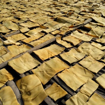 笋干农家自产自销新鲜嫩笋筒片，笋片、竹笋、八渡笋
