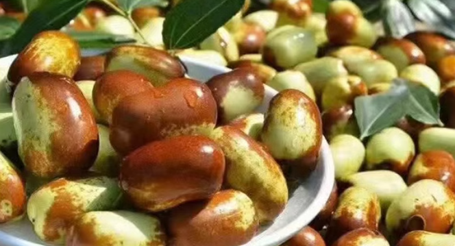 一颗颗小巧圆润的灵武珍珠枣整齐排列在白色瓷盘中,背景为阳光下的枣园,果实呈深红色,表皮光滑有光泽,部分果实微微开裂露出晶莹果肉,展现其成熟状态下的诱人外观 灵武珍珠枣特写
