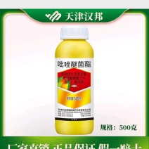 天津汉邦25%吡唑醚菌酯黄瓜白粉病锈杀菌剂